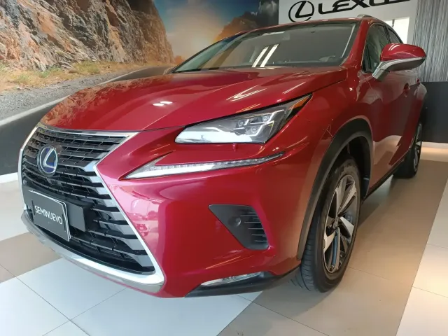 NX 300H LUXURY